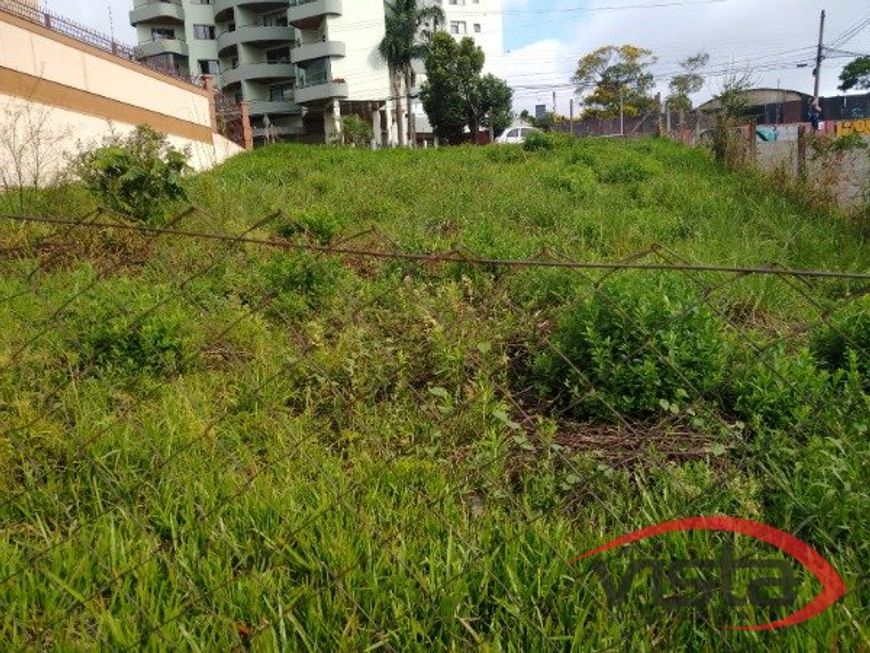 CAXIAS DO SUL - Terreno Padrão - PIO X