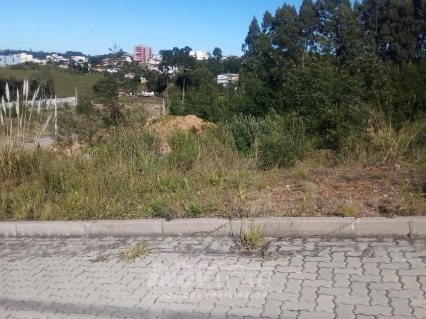 Terreno Ana Rech Caxias do Sul