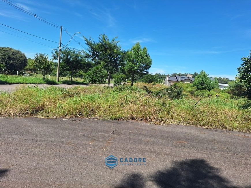Terreno de esquina com 472 m² Lot. Monte Rissieri