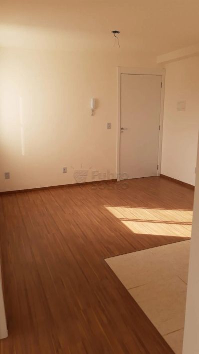 Apartamento Padrão em Pelotas