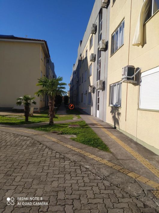 1291614- Apartamento no FRAGATA