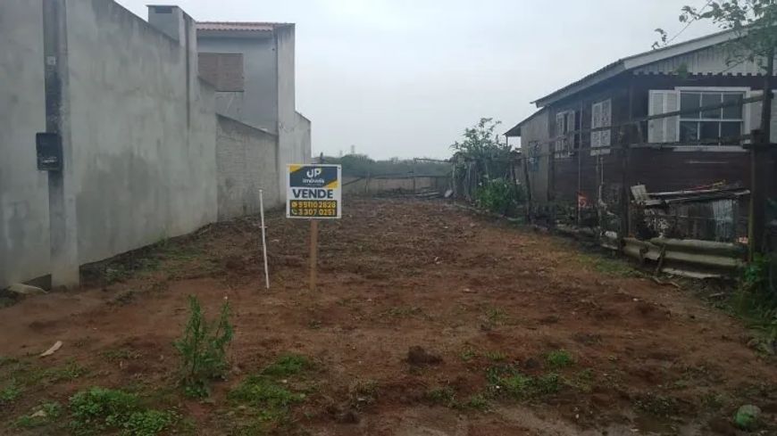Terreno à Venda no Bairro Liberdade, Três Vendas, Pelotas, RS – 245 m², Com 7 m de Frente e 25 m de