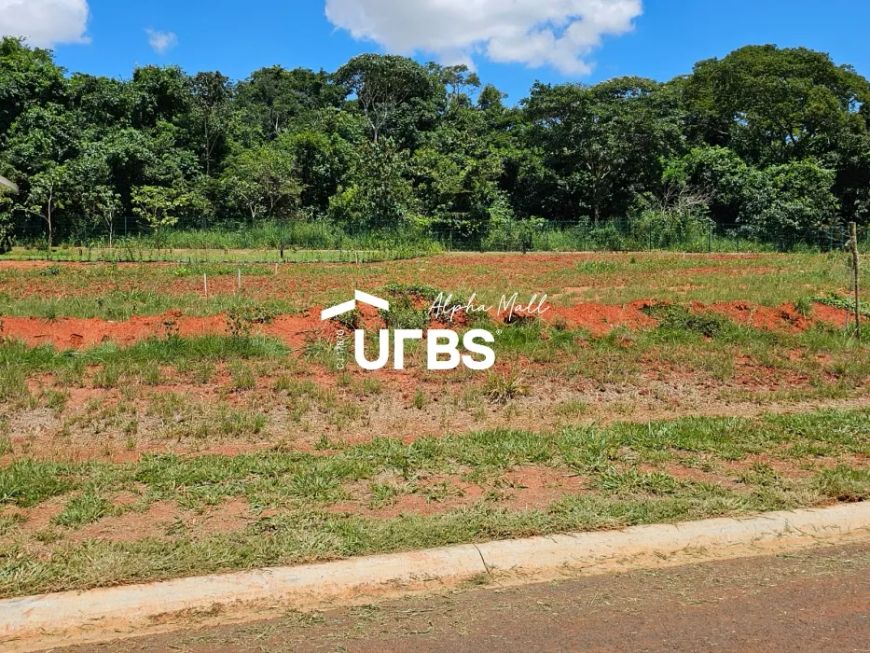Lote no Plateau D’or Unique