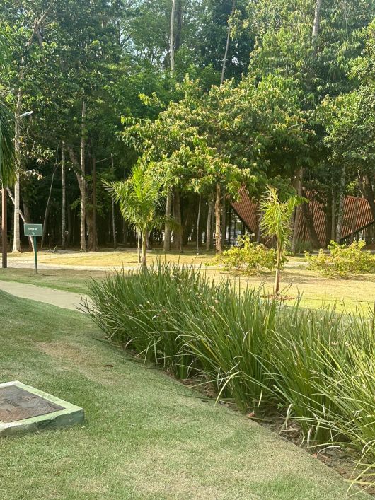 Lote no Jardins França com 507 metros FRENTE A MATA - Goiânia - GO