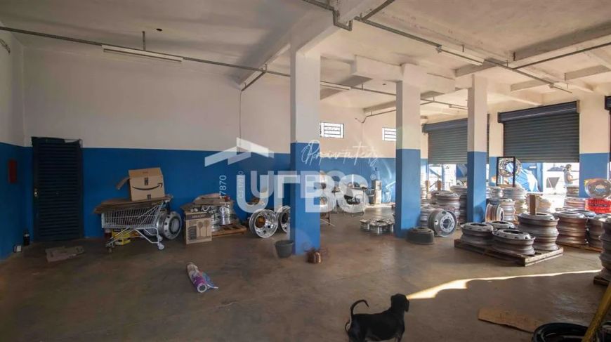 Galpão com Casa residencial de frente para a GO-080