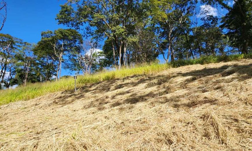 Terreno no Residencial Aldeia do Vale