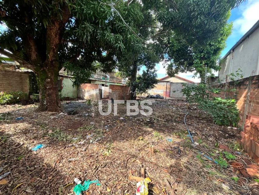 Lote Comercial