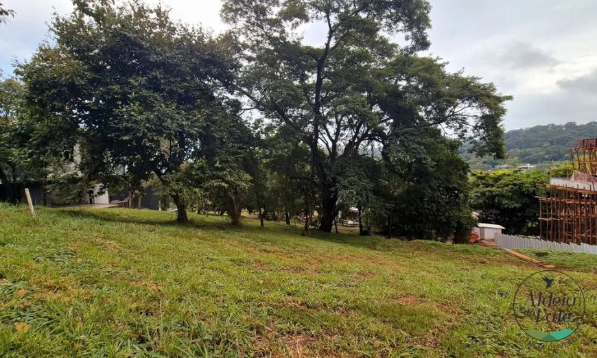 Terreno no Residencial Aldeia do Vale