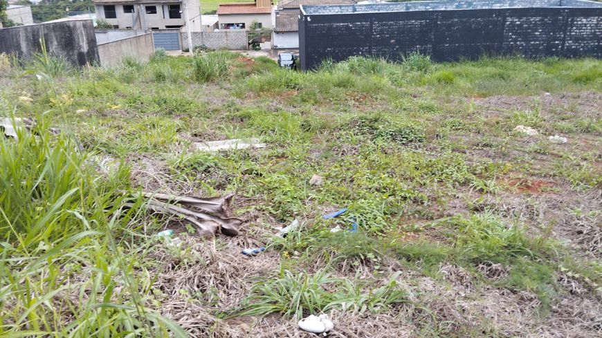 Lote/Terreno para venda com 439 metros quadrados em Residencial Cidade Verde - Goiânia - GO