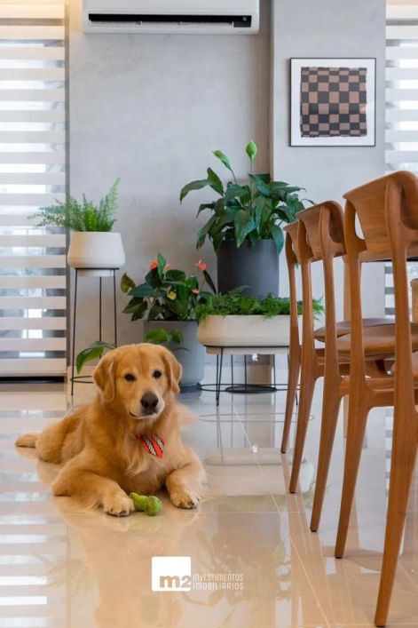 Apartamento mobiliado e decorado no Lumina Marista