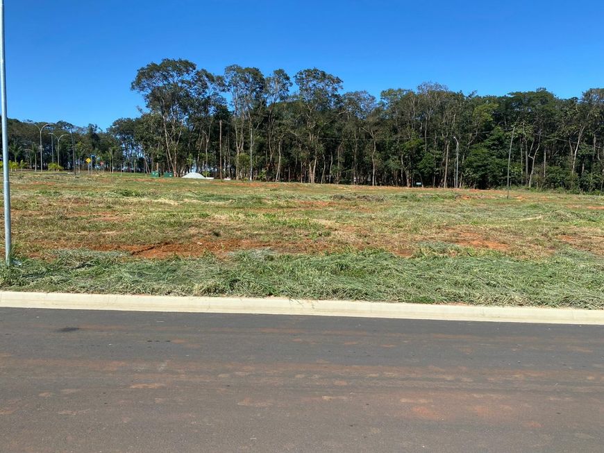 Lote - Jardins França