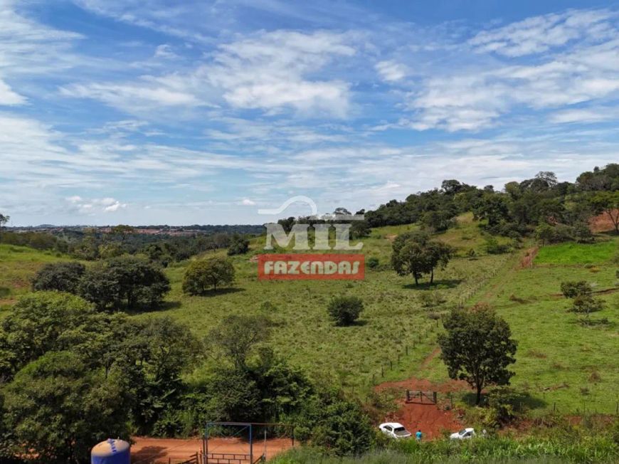 Chacara 20 mil m2 Goianira - GO
