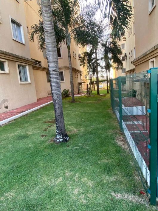 Imóvel para venda com 56 metros quadrados com 2 quartos em Moinho dos Ventos - Goiânia - GO