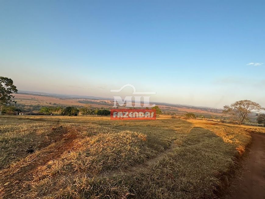 Chácara 6 alqueires (29 hectares) próximo a Goiânia.
