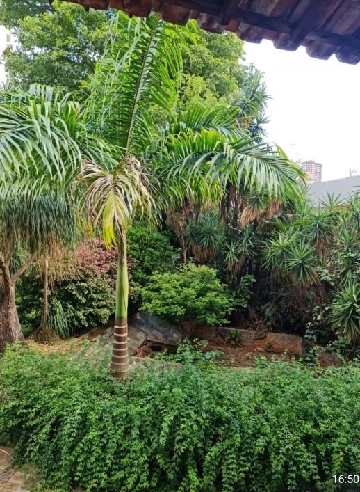 Casa para venda com 350 metros quadrados com 4 quartos em Setor Bueno - Goiânia - Goiás
