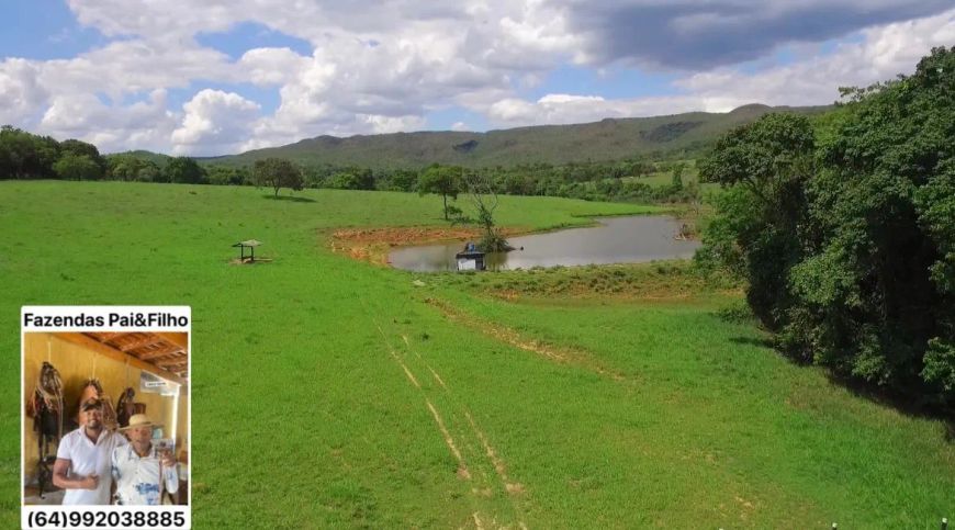 fazenda diferenciada riquíssima em benfeitorias,logística,plana .