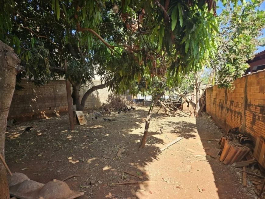 Lote - Rua das Camélias - Jardim Botânico