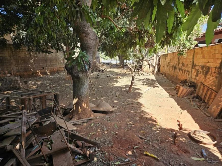 Lote - Rua das Camélias - Jardim Botânico