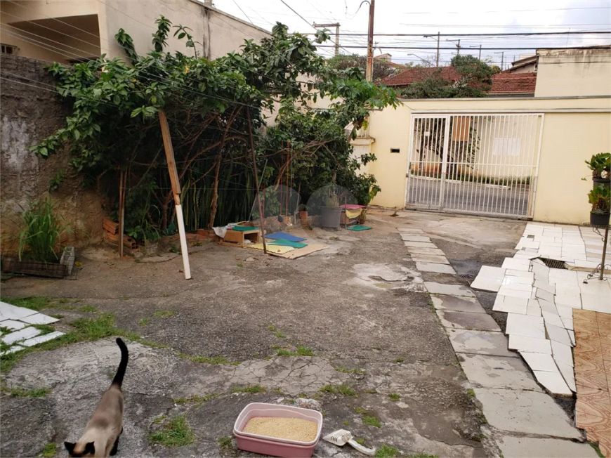 Terreno à venda em Vila Progresso - SP