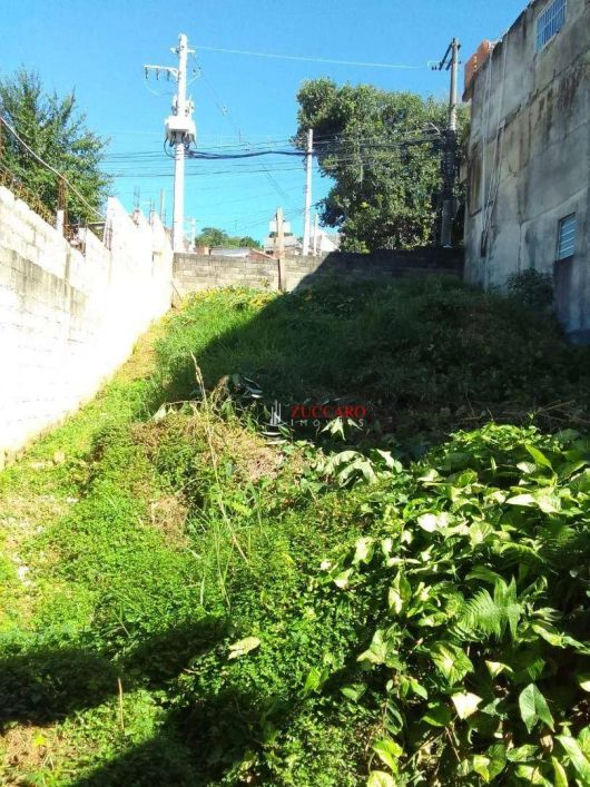 Terreno à venda, 1025 m² por R$ 250.000,00 - Jardim Fortaleza - Guarulhos/SP