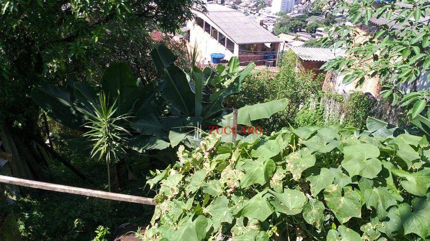 Terreno à venda, 440 m² por R$ 270.000,01 - Mikail II - Guarulhos/SP