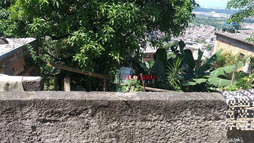Terreno à venda, 440 m² por R$ 270.000,01 - Mikail II - Guarulhos/SP