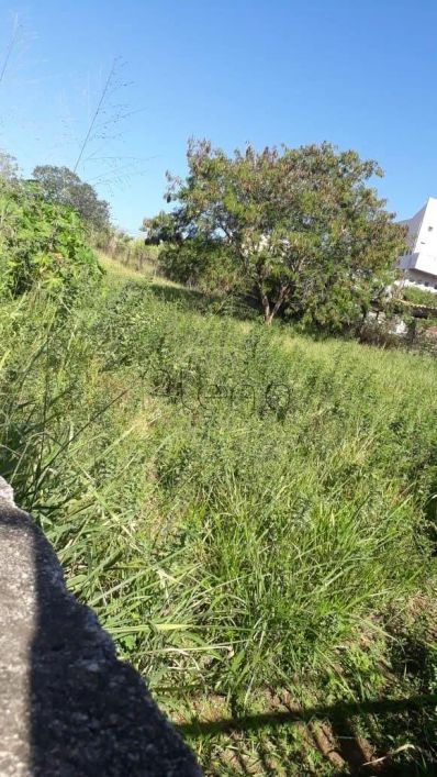 Terreno à venda e para alugar em Campinas, Jardim Conceição (Sousas), com 1445 m²
