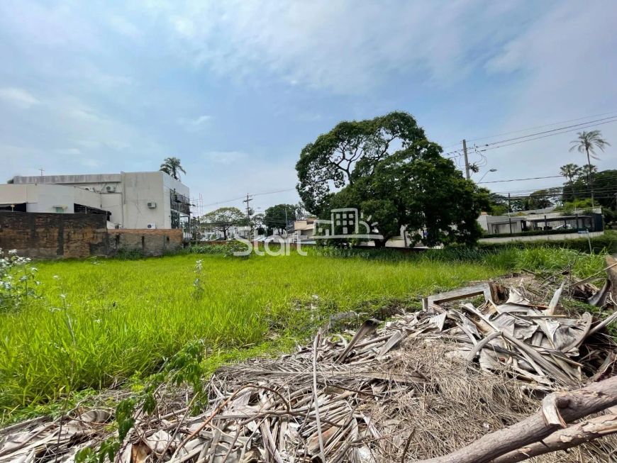 terreno - Nova Campinas - Campinas