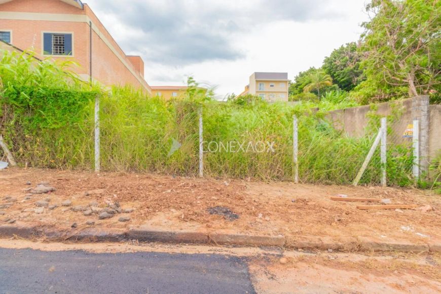 terreno extenso