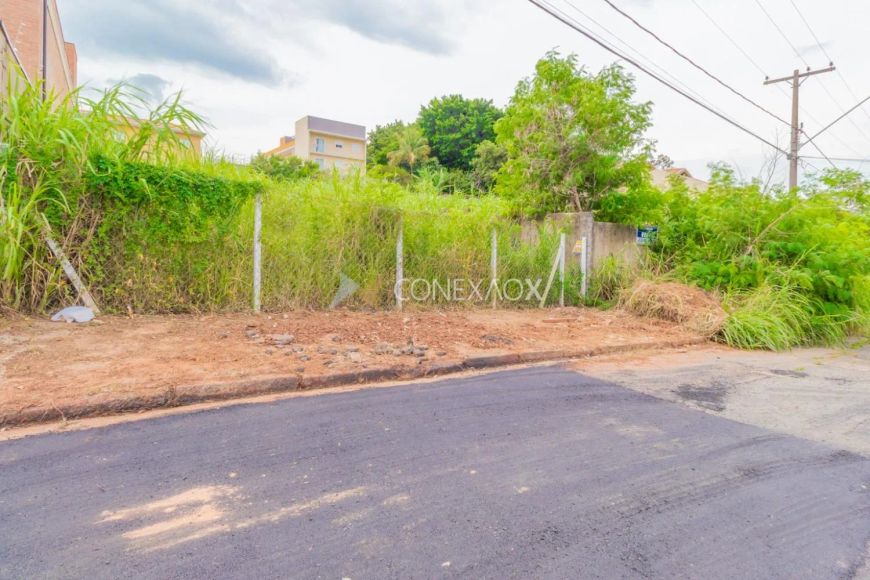 terreno extenso