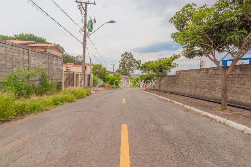 terreno extenso