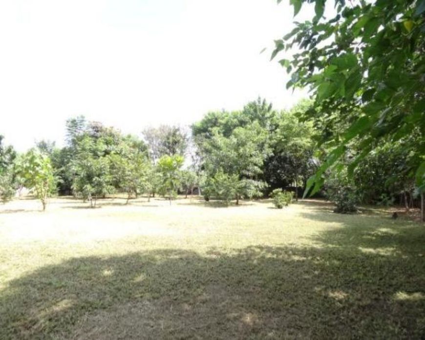 CHACARA COMERCIAL em CAMPINAS - SP, RECANTO FORTUNA