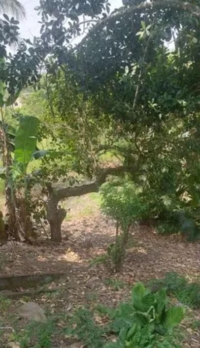 Sítio com 3 quartos à venda, 2675 m² por R$ 820.000 - Maria Paula - São Gonçalo/RJ