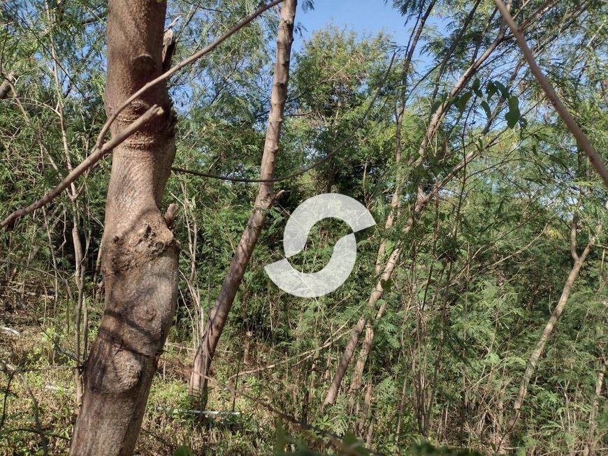 Terreno à venda, 9000 m² por R$ 4.000.000,00 - Lindo Parque - São Gonçalo/RJ