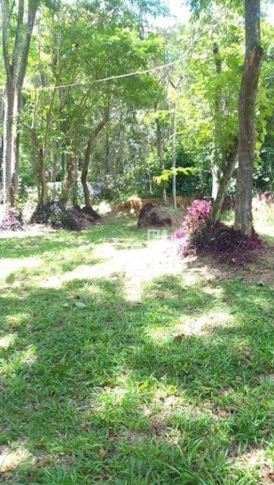 Chácara à venda, 10000 m² por R$ 2.000.000,00 - Rio do Ouro - São Gonçalo/RJ