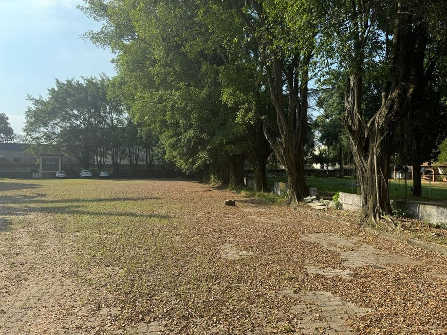 Area 20.000 m2