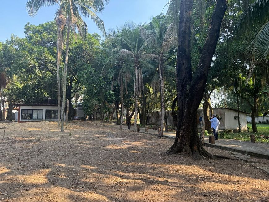 Area 20.000 m2
