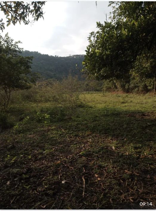 Sítio à venda na Rua estrada do Capivari, Capivari, Duque de Caxias - RJ