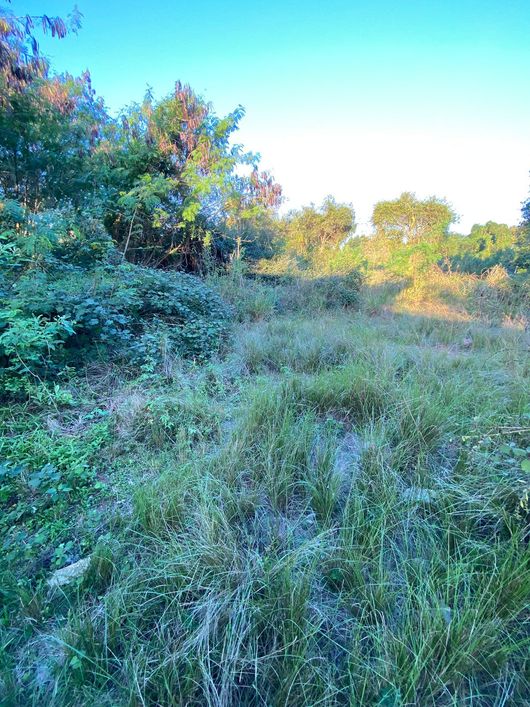 Terreno espetacular 540m² planos no asfalto Jardim Rotsen