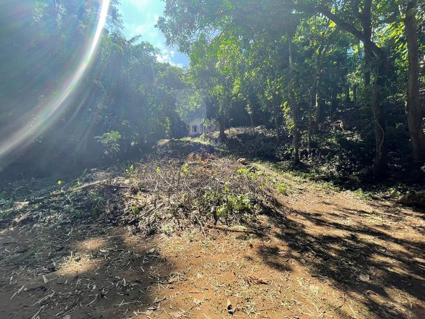 Espetáculo de sitio com 2 nascentes, 40mil m² em Santo Antônio