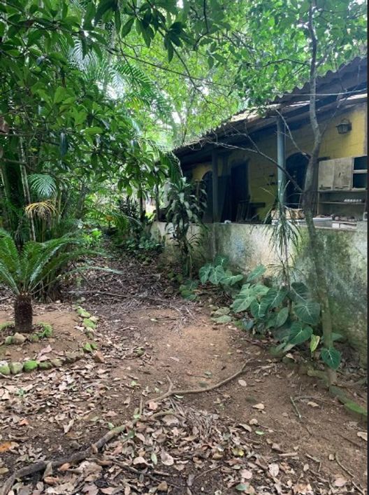 Fazenda/Sítio/Chácara para venda com lagoa - Rio Saracuruna