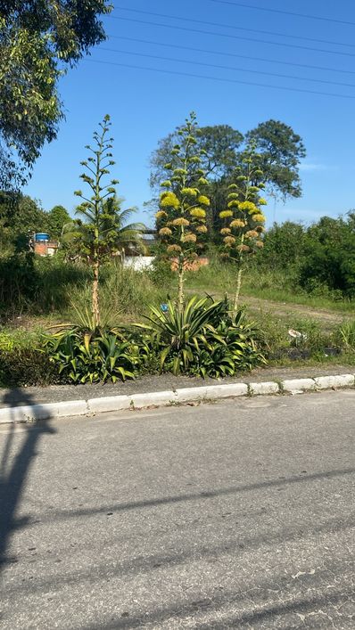 Terreno 4.500m atras da casa do Alemão sentido Rj