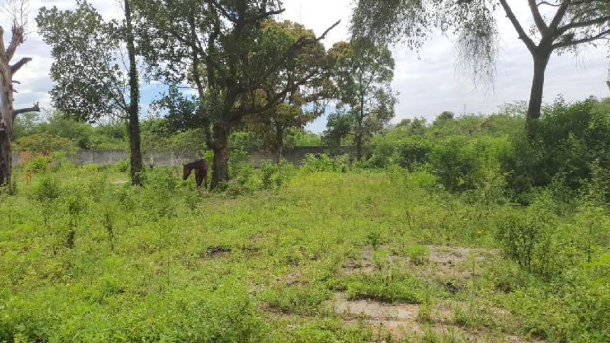 Terreno em Chácaras Rio-Petrópolis