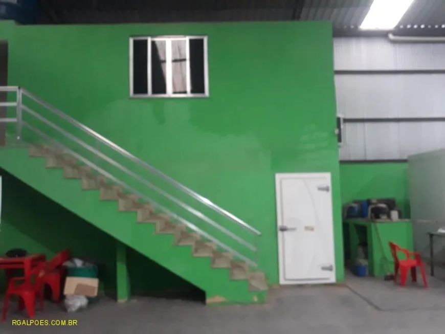 GALPAO COMERCIAL em DUQUE DE CAXIAS - RJ, SARACURUNA