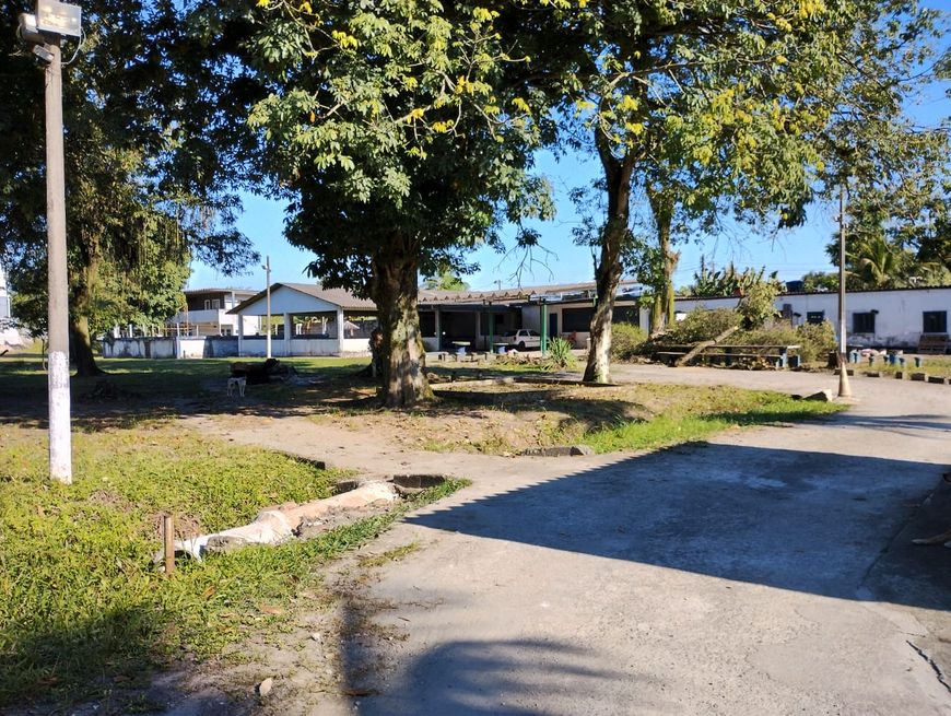 Sítio - Imbariê - 20.000 m2 - Cód. 1694