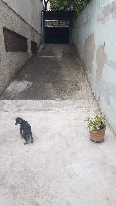 Casa em Rua General Câmara - Jardim Vinte e Cinco de Agosto - Duque de Caxias/RJ