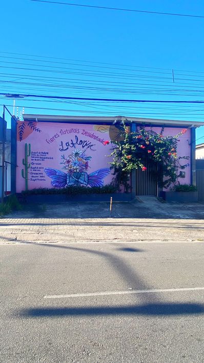 Alugo excelente Galpão na Av Capitão-Mor Gouveia.