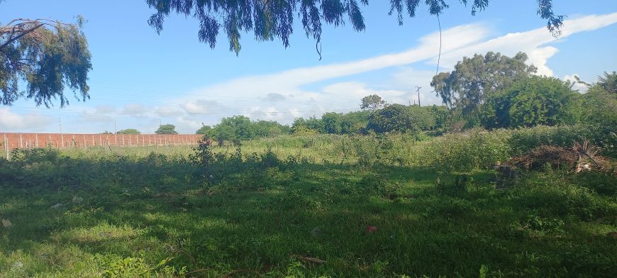 Terreno com 10mil m2