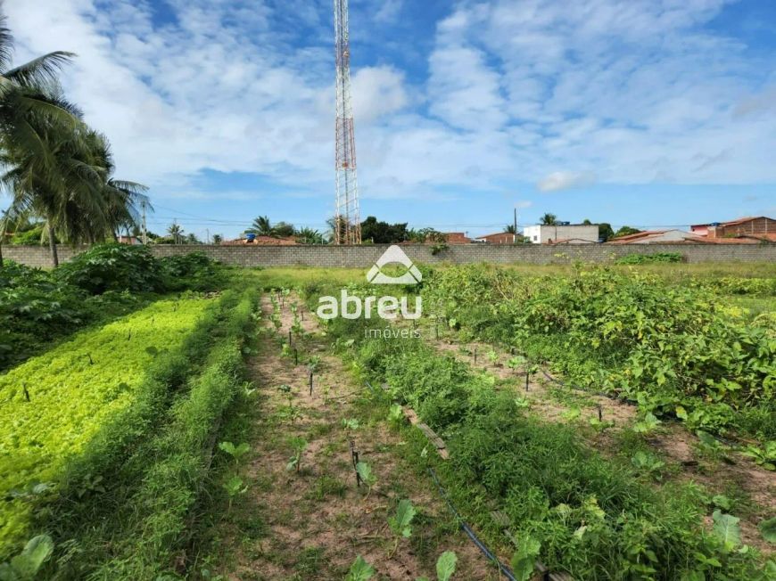 Área na zona norte de Natal