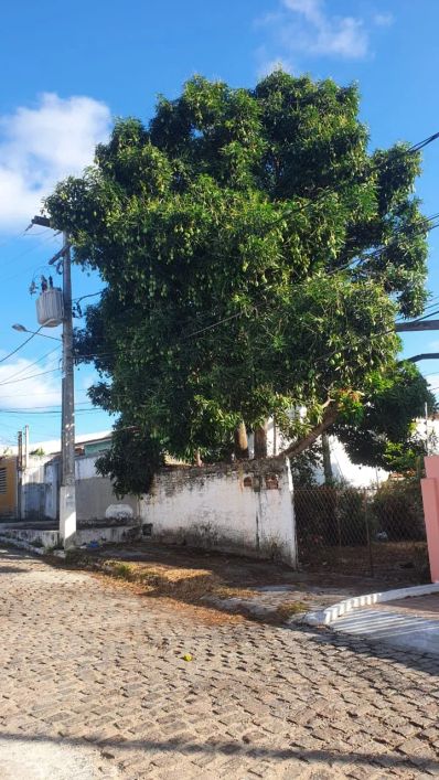 Terreno à venda, 170 m², no bairro de Potilândia, Natal/RN